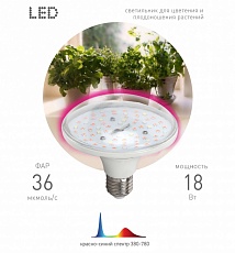 Лампа светодиодная для растений ЭРА FITO-18W-RB-E27 Б0049533 1