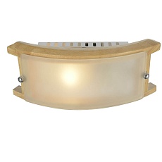 Потолочный светильник Arte Lamp A6460AP-1BR 2