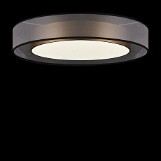 Потолочный светодиодный светильник Freya Zoticus FR6005CL-L48G 3
