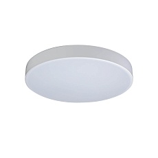 Потолочный светодиодный светильник Loft IT Axel 10002/24 white 2