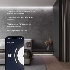 Контроллер для светодиодных лент dimming Elektrostandard 95004/00 a055256 2