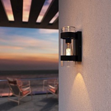 Уличный настенный светильник Elektrostandard Falcon 35167/D черный a063452 4