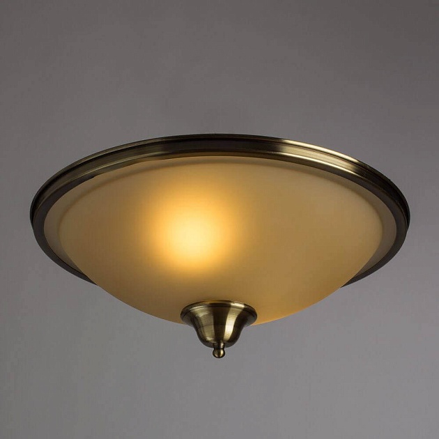 Потолочный светильник Arte Lamp Safari A6905PL-2AB фото 3