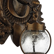 Уличный настенный светильник Favourite Hunt 1849-1W 1