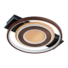 Потолочный светодиодный светильник F-Promo Labrea 4699-1C 2