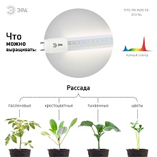 Лампа светодиодная для растений ЭРА G13 9W 1200K прозрачная Fito-9W-Ra90-Т8-G13-NL Б0042988 3