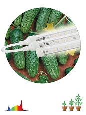 Модульный светодиодный светильник для растений ЭРА Fito-3х10W-Line-Ra90 Б0049315 1