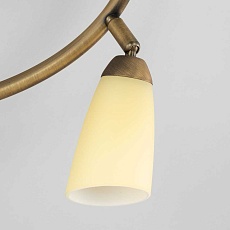 Спот Citilux Белла CL501163 5