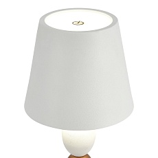 Настольная лампа ST Luce Ease SL1011.514.01 2