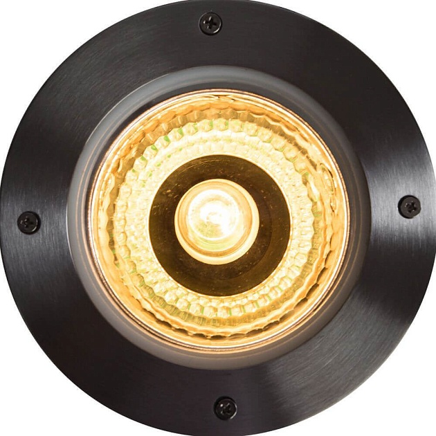 Ландшафтный светильник Arte Lamp Install A6013IN-1SS фото 4