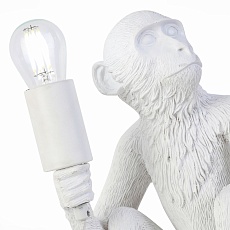 Прикроватная лампа Evoluce Tenato SLE115104-01 2