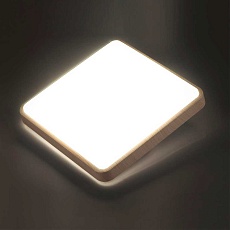 Настенно-потолочный светодиодный светильник Sonex Merto 7608/EL 5