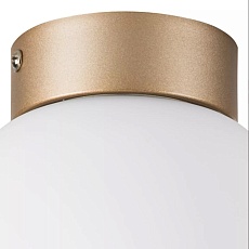 Настенно-потолочный светильник Lightstar Globo 812013 1