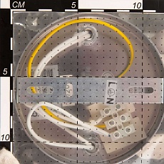 Бра Citilux Грета CL333311 3