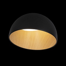 Потолочный светодиодный светильник Loft IT Egg 10197/350 Black 3