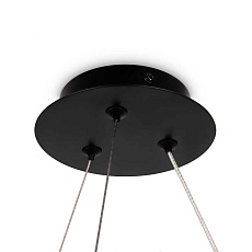 Подвесная люстра Maytoni Balance MOD317PL-04B 4