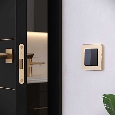 Рамка Werkel Platinum на 1 пост шампань W0012611 4690389184437 2