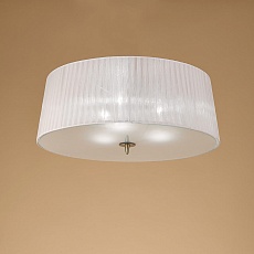 Потолочный светильник Mantra Loewe 4740 1