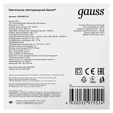 Настенно-потолочный светодиодный светильник Gauss Eco IP65 126418212-S 2
