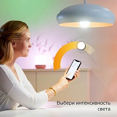 Лампа светодиодная диммируемая Gauss Smart Home E14 5W 2700K матовая 1100112 5