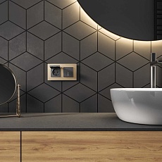 Розетка влагозащишенная с заземлением с защитной крышкой и шторками Werkel графит матовый W1171264 4690389213182 2