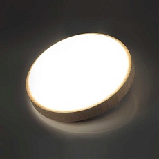 Настенно-потолочный светодиодный светильник Sonex Losta 7607/EL 5