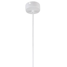 Подвесной светильник Favourite Aenigma 2557-1P 2