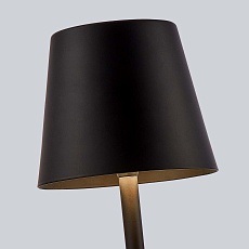 Настольная лампа F-Promo Pyari 4615-1T 5