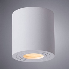 Потолочный светильник Arte Lamp Galopin A1460PL-1WH 4
