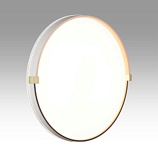 Настенно-потолочный светодиодный светильник Sonex Pale Olidi White 7646/DL 3