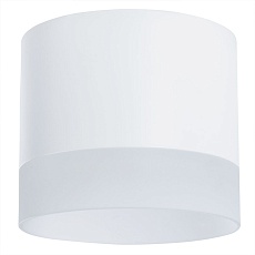 Потолочный светильник Arte Lamp Castor A5554PL-1WH 1