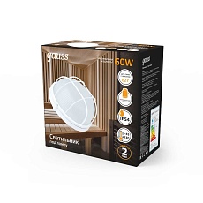 Настенно-потолочный светильник Gauss 926602116 2