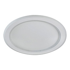 Потолочный светодиодный светильник F-Promo Lema 4697-4C 2