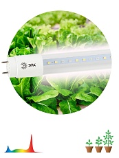 Лампа светодиодная для растений ЭРА G13 18W 1200K прозрачная Fito-18W-Ra90-Т8-G13-NL Б0042987 4
