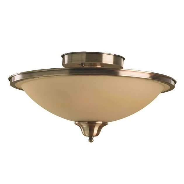 Потолочный светильник Arte Lamp Safari A6905PL-2AB фото 