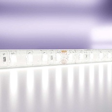 Светодиодная влагозащищенная лента Maytoni Technical 9,6W/m 120LED/m 2835SMD холодный белый 5M 10147 5