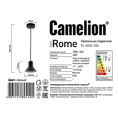 Подвесной светильник Camelion PL-602S C02 14555 3