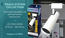 Трековый светодиодный светильник Ambrella light Track System GL5853 1