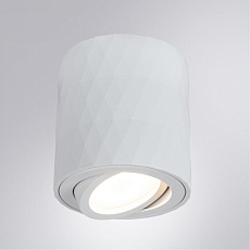 Потолочный светильник Arte Lamp Fang A5559PL-1WH 3