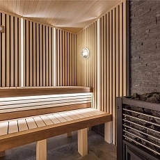 Настенно-потолочный светильник Gauss 926602111 2