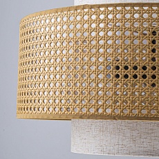 Подвесная люстра Favourite Organicum 4768-3P 3