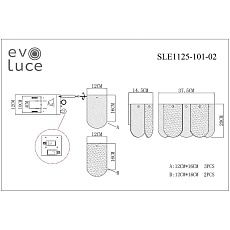Настенный светильник Evoluce Erzo SLE1125-101-02 1