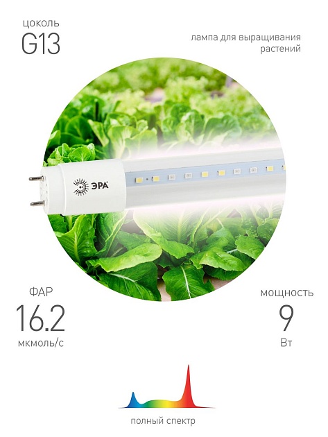 Лампа светодиодная для растений ЭРА G13 9W 1200K прозрачная Fito-9W-Ra90-Т8-G13-NL Б0042988 фото 2