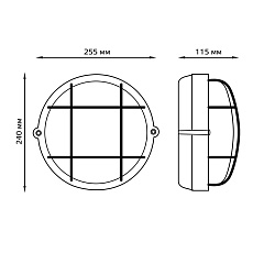 Настенно-потолочный светильник Gauss 926602111 5