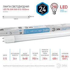 Лампа светодиодная ЭРА G13 24W 4000K матовая LED T8-24W-840-G13-1500mm Б0033006 1