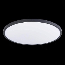 Настенно-потолочный светодиодный светильник ST Luce ST601.442.48 2