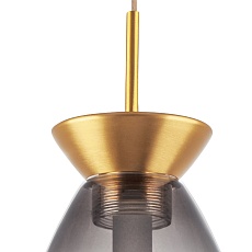 Подвесной светодиодный светильник Lightstar Colore 805118 3