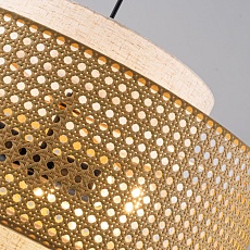 Подвесная люстра Favourite Organicum 4768-3P 5