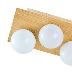 Потолочный светодиодный светильник F-Promo Swarm 4695-8C 1