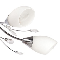 Потолочная люстра MW-Light Нежность 356015105 1